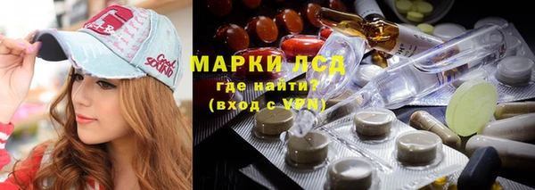 PSILOCYBIN Лабытнанги