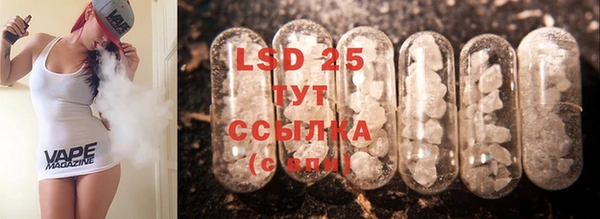 PSILOCYBIN Лабытнанги