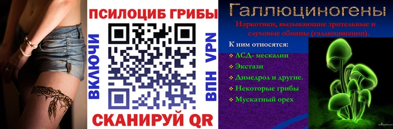 как найти   Светлогорск  Галлюциногенные грибы Magic Shrooms 