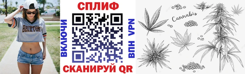 Конопля Bruce Banner Светлогорск